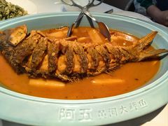 -阿五黄河大鲤鱼(英协路店)