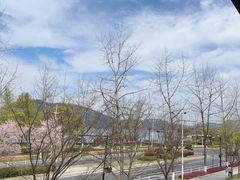 -宝荣鱼馆·临湖之宴(千岛湖店)
