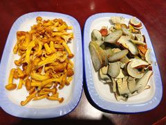 -菌之家·专业纯野生菌火锅·特色炒菌