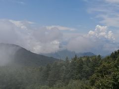 -白草畔自然风景区