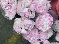 -循礼门鲜花花市(武汉循礼门店)