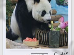 -柳州市动物园