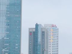 -长沙小天鹅戴斯酒店