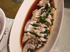 -金美华轩(东方路齐鲁店)