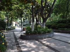 -常州古运河南大街文化旅游区-人民公园