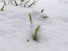 -北京莲花山滑雪场