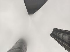 -上海柏悦酒店·世纪100牛排馆