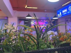 -海盗船. 龙虾烧烤. 酒馆