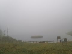 -武陵山森林公园