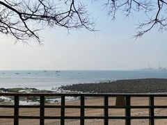 -八大关景区
