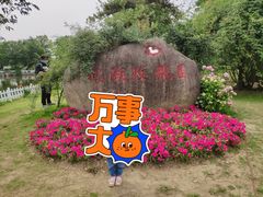 -鹅湖玫瑰文化园