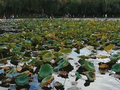 -长春世界雕塑园冰雪艺术天地