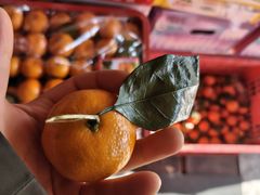 -岳各庄批发市场(西四环中路店)