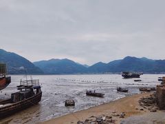 -北岐滩涂