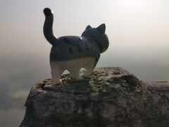 -玻璃桥景区石牛寨