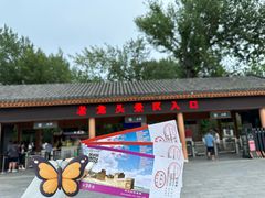 -老龙头景区