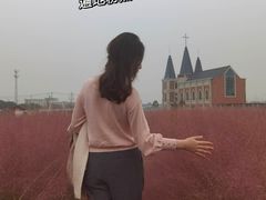 -鹅湖玫瑰文化园