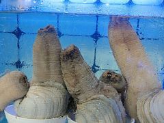 -日照大牌檔•小船海鲜(万平口店)