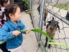 -加蒙特森林幼儿园(广州市增城区店)