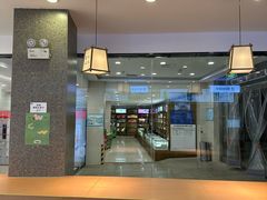 -雾与山茶(大禹城店)