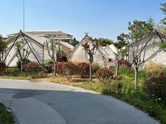 -日照海滨国家森林公园