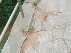-九龙池景区