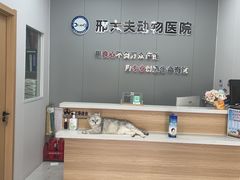 -邢大夫动物医院