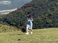 -大姆山草场