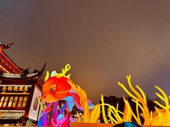 -绿波廊七号(豫园新路店)