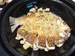 -龙悦湾酒家·八阵鱼生·渔人码头店