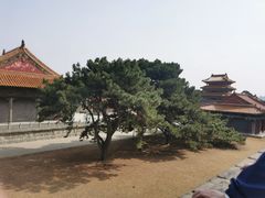 -北陵公园