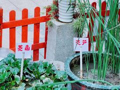 -荔湾湖公园