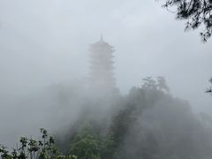 -缙云山景区
