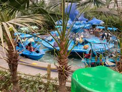 -南宫五洲植物乐园