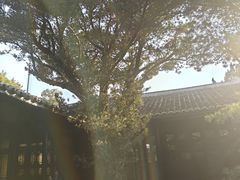 -八大山人梅湖景区