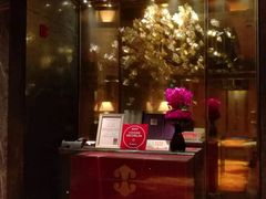 -金轩中餐厅 Jin Xuan(浦东丽思卡尔顿酒店)