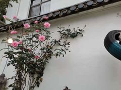 -美味之家·湖景农家乐(太湖东山店)
