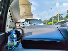 -班达拉奈克国际机场