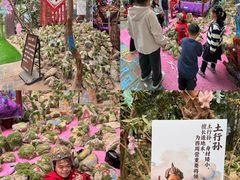 -呀路古热带植物园