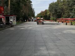 -黑龙江省森林植物园