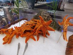 -圣罗巴海鲜自助(黑金店)