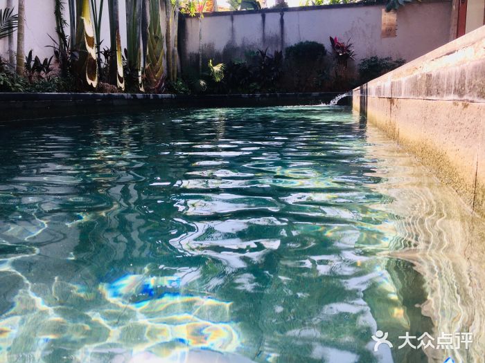 候鸟水榕庄度假酒店图片