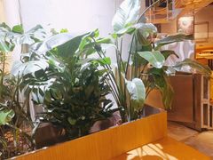 -Wagas沃歌斯(武汉恒隆广场店)