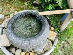 -树厨贵州菜(铜仁花果山店)