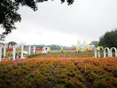 -松山湖梦幻百花洲