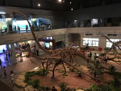-自贡恐龙博物馆
