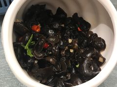 凉拌黑木耳-姜君·千岛湖鱼头馆(浦东大道店)