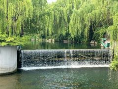 -济南大明湖景区