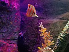 -沈阳海洋探索中心