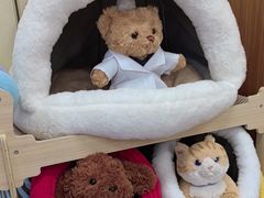 -爱妮康宠物医院·干细胞免疫细胞·肿瘤·心脏(张江店)